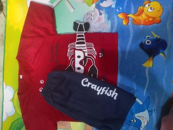 Product Review of PAKET HEMAT 3 STEL / setelan anak cowok 1-4 tahun / setelan baju anak laki laki / kaos baju anak laki from b**a R**i 0