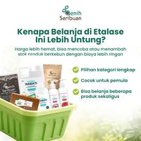Gambar [CUCI GUDANG] Harga Spesial & Stok Terbatas - Produk Berkebun Pilihan Variasi Benih, Media Tanam & Pupuk - Cabai Ancho Pepper dari Benih Seribuan Kab. Boyolali 5 Tokopedia