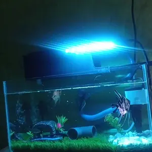 20 Cm 8 Led Lampu Aquarium 5 volt LED SMD 5050 SIi Mata Besar Super Terang