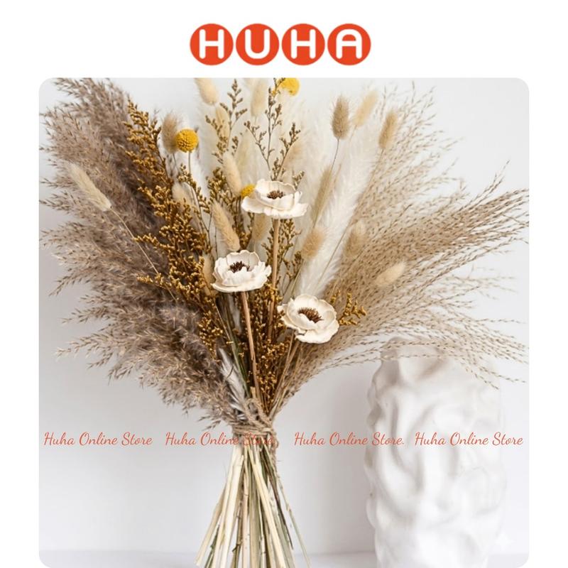 Set hoa khô decor cắm bình trang trí- Cỏ lau khô, đuôi thỏ khô, anh túc khô -…