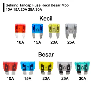 Sekring Sikring Tancap Fuse Kecil Besar Mobil 10A 15A 20A 25A 30A