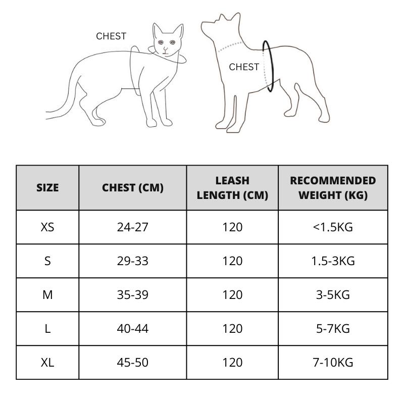 Product Introduction of Pet Adjustable Reflective Leash Vest Harness Walking Small and Medium Dogs and Cats 0