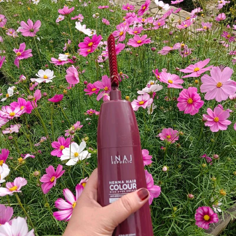 Inai Rublic Inai Rambut HENNA HAIR COLOUR INAI REPUBLIC-PEWARNA RAMBUT TELUS AIR - TikTok Shop ...