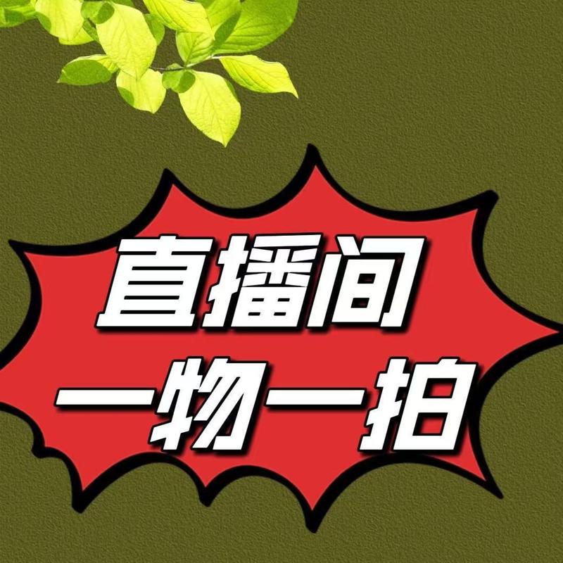 Product Introduction of Live room fashion accessories jewelry accessories affordable accessories exclusive link 1