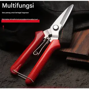 Camel Gunting Dahan Seng /Gunting Korea-Gunting bunga dan gunting cabang multifungsi/Gunting Serbaguna