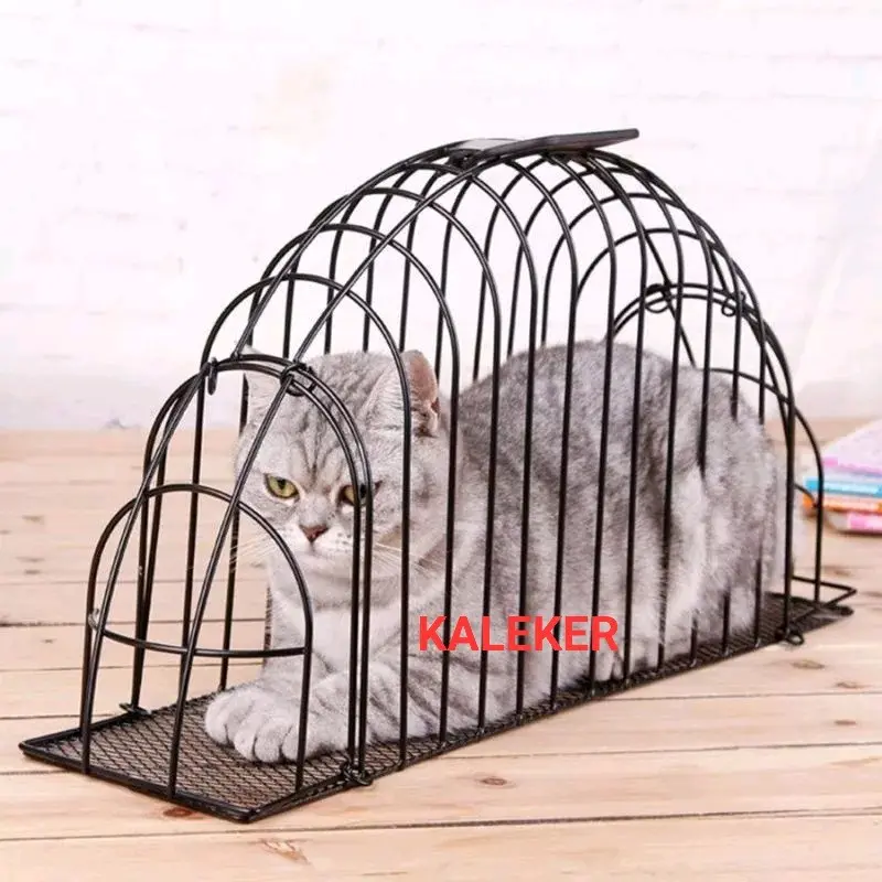 GROOMING JINJINGAN KUCING HEWAN PELIHARAAN