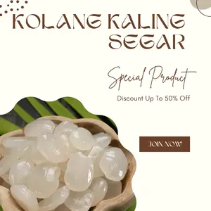 kolang kaling segar berkualitas premium Jelly Food Puding