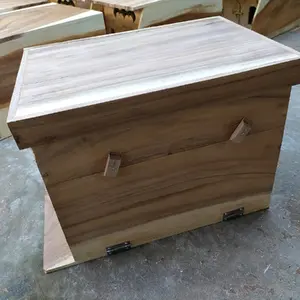 Kotak Lebah Tawon Madu Apis Cerana Ukuran XL Besar Koloni Berkembang Cepat Sukses Beternak Mantap Keren Ready Siap Kirim Joss