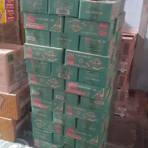 Santan Kara 65mili Segitiga 36pc