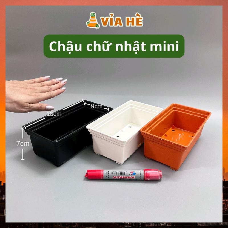 Chậu nhựa mini dài hình chữ nhật trồng sen đá tiểu cảnh, chậu trồng xương rồng bonsai 18x9x7 cm, Vỉa Hè