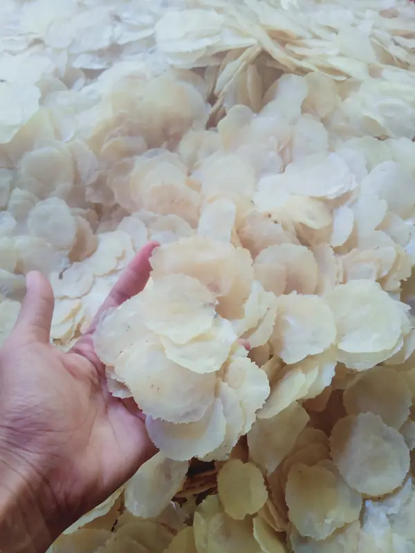 EMPING MELINJO 1 KG KERING PASAR ASLI KEBUMEN - Makanan, Snack Food, Cemilan, Keripik  Goreng 4
