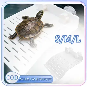 Basking Kura Kura Tempat Jemur Kura Kura Jembatan Kura Kura Kecil Tempat Jemur Kura