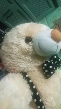 Product Review of BONEKA PREMIUM TEDDY BEAR 2 METER SUPER JUMBO Dolls Toys from u**h 0