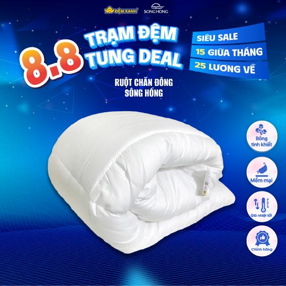 Ruột Chăn Đông Sông Hồng phân phối chính hãng tại Đệm Xanh