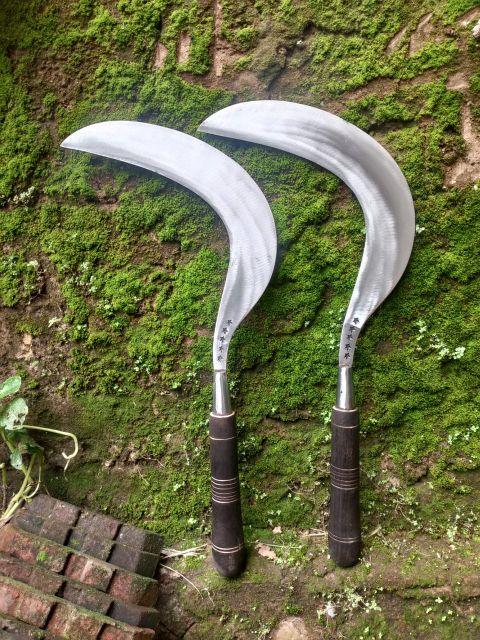 ARIT SABIT RUMPUT CAP BINTANG 5 ASLI MADURA.