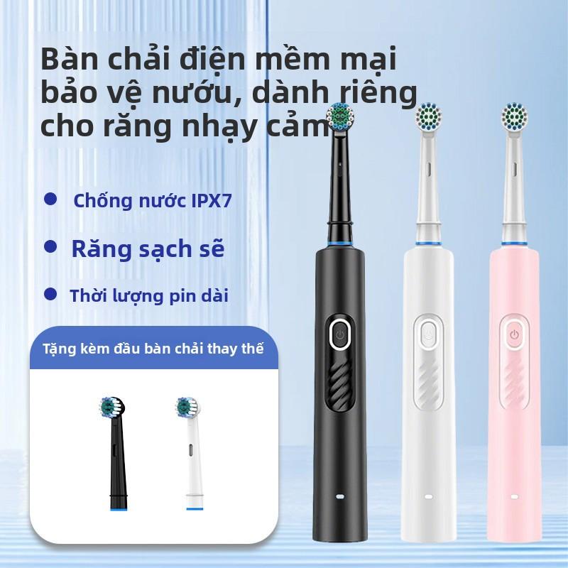 Bàn chải đánh răng điện xoay sạc điện sóng âm dành cho người lớn, bàn chải đánh răng điện chống nước