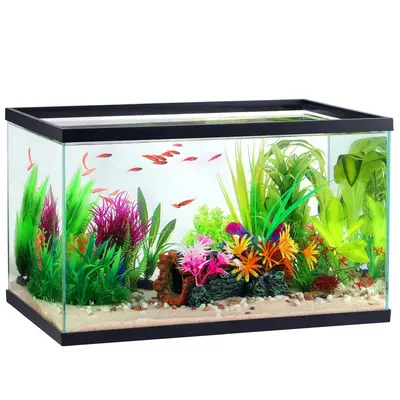 Dollar tree fashion fish tank decorations