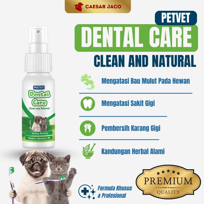 Gambar Obat Gigi dan Pembersih Karang Anti Bakteri & Bau Mulut Alami dari Caesar JacO Kota Administrasi Jakarta Barat Tokopedia