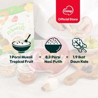 Gambar Oatsy Muesli Tropical Fruit 500g - (Free Container) dari Oatsy Oatmeal & Muesli Kota Administrasi Jakarta Barat 3 Tokopedia