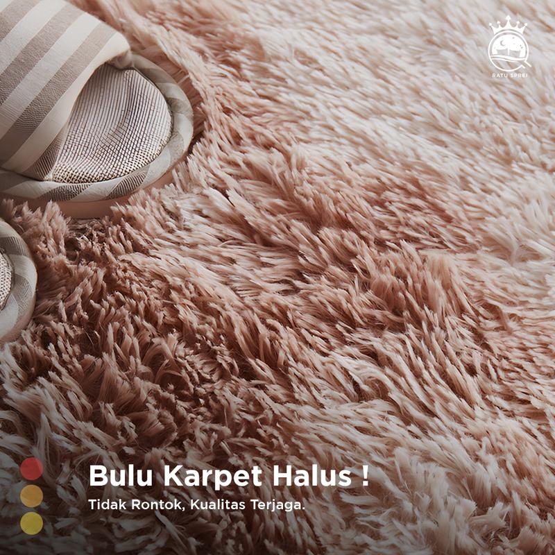 Product Introduction of RATU - Karpet Bulu Rasfur Warna Kombinasi Bulu Halus Lembut Anti Selip Motif Abstrak 11