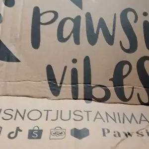 Pawsitive Vibes Tas Astronot Kucing Anjing Aksesoris Ransel Hewan Peliharaan Tas Travel Anabul Pet Travel Bag Transparan Material ABS & Transparent PC Ukuran 42 x 31 cm Diskon s.d. 50% maks Rp150k