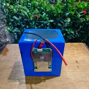 Baterai lifepo4 12 volt 44 Ah