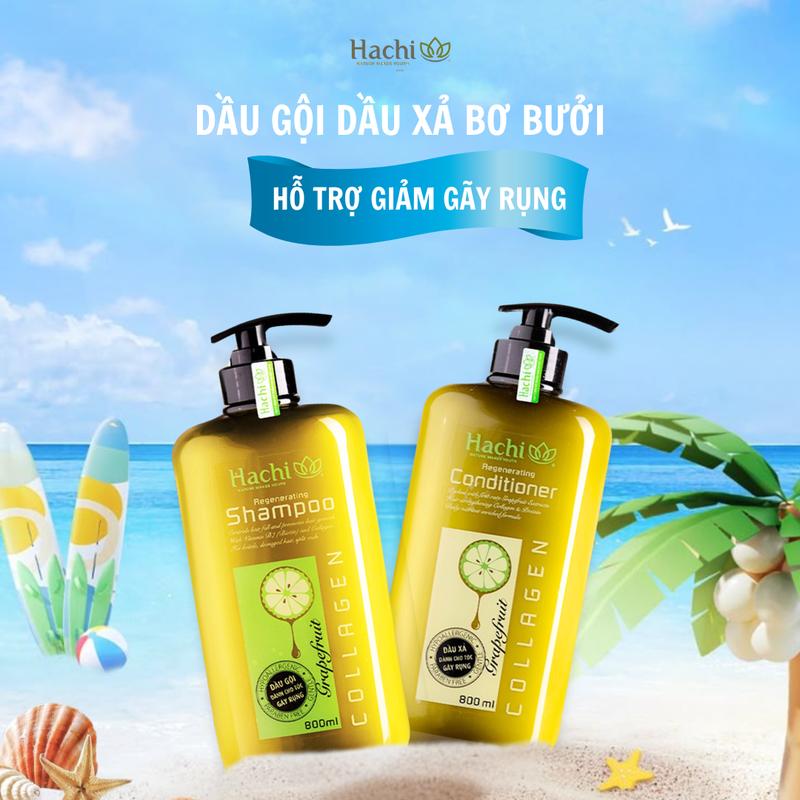 Combo Bơ Bưởi Hỗ Trợ Giảm Rụng Regenerating Hachi , Dầu Gội, Dầu Xả, Women  Chăm sóc tóc daugoixa nữ dầu  gội