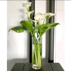 vas bunga kaca bening tinggi/ vas bunga bambo tabung/ vas bunga cilynder minimalis