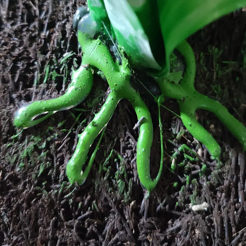 Hiasan dinding bunga anggrek tempel  Dekorasi Plastik 2