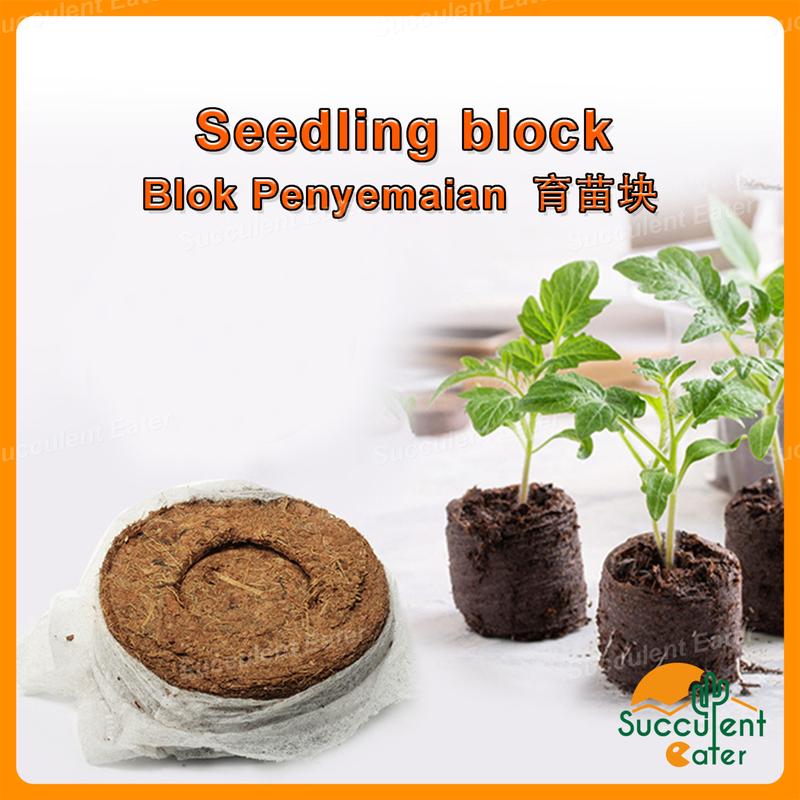 [5pcs] Seedling Block Blok Semaian Peat Soil Pellet Soil Plant - TikTok ...