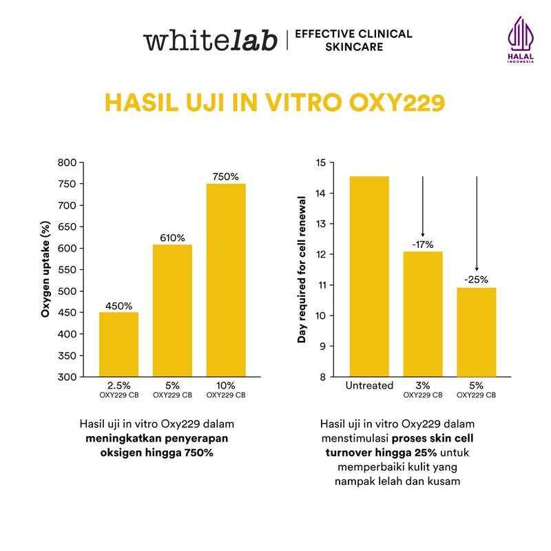[RACUNINSKINCARE] - Whitelab [UPGRADE] N10-Dose+ Brightening Serum Niacinamide 10% - Perawatan Mencerahkan Wajah Kusam 7