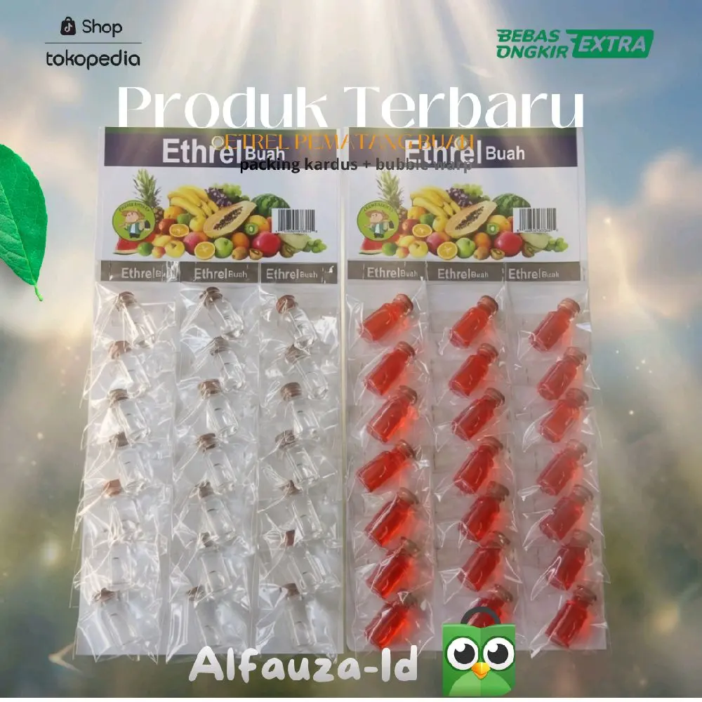 [Alfauza-Id] - ETREL BUAH  | PEMATANG BUAH CAIR 24pcs