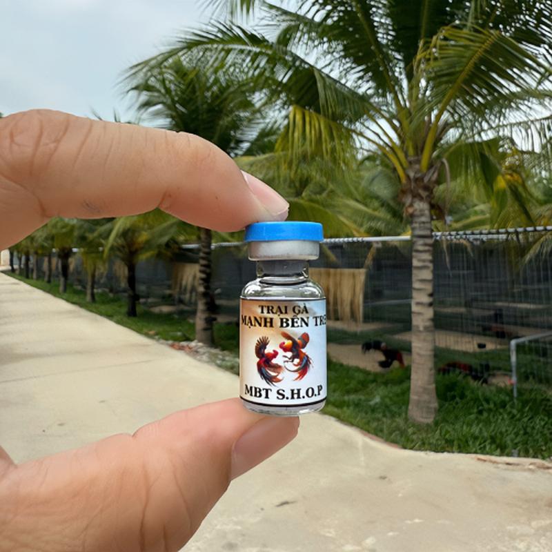 Mạnh Bến Tre MBT.SHOP bổ sung năng lượng cho gà biểu diễn, giúp gà tăng bo, tăng cường sức khoẻ thể lực, sức bền, lướt ói, bền tới phút 90 2