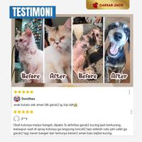 Gambar Obat Kulit Scabies Demodeks Jamur Kutu Anjing Kucing Kelinci 60ml dari Caesar JacO Kota Administrasi Jakarta Barat 5 Tokopedia