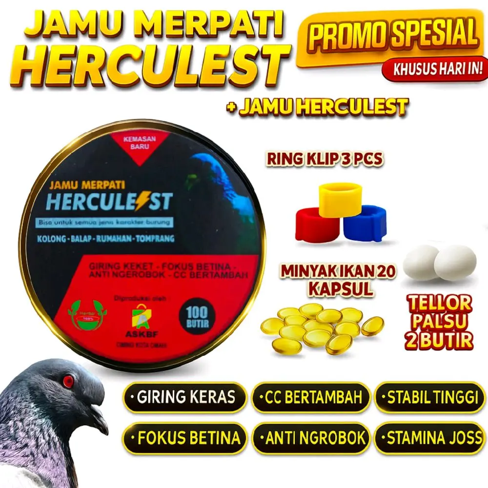 Jamu merpati lomba jamu hercules kolong GIRING KEKET TENAGA MAKSIMAL NAFAS PANJANG MERPATI KOLONG