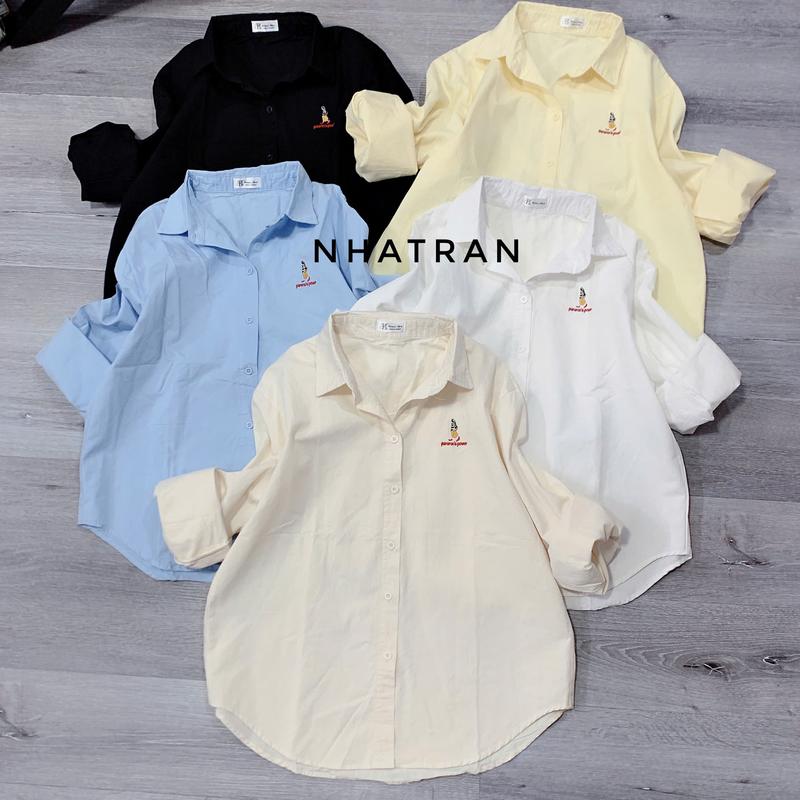 PHOM VỪA DƯỚI 56kg - Áo sơ mi nữ cổ bẻ tay dài chất kaki cotton Top Women Pastel BK-THÊU NƠ