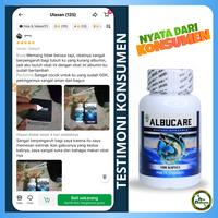 Gambar Albucare Original Isi 100 Kapsul Ekstrak Ikan Gabus Suplemen Albumin - BPOM Halal MUI dari Nia Nature Kota Administrasi Jakarta Barat 5 Tokopedia