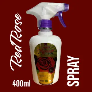 Pelicin dan Pewangi Pakaian-Laundry Mawar Plus Spray 400 ml Bunga - KEMASAN BARU (isi tetap sama)