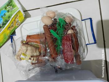 Product Review of [COD]Paket Dunia Dinosaurus Tyrannosaurus Rex Besar Dunia Dinosaurus Mainan Anak Laki-laki dan Perempuan Model Plastik Simulasi Toy from u**6 3