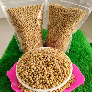 Kacang Kedelai organik 1 kg