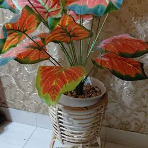 Standing Pot Rotan Alami & Sintetis Aesthetic Vas Bunga Rotan Ukuran 35 - 55 Cm Untuk Tanaman