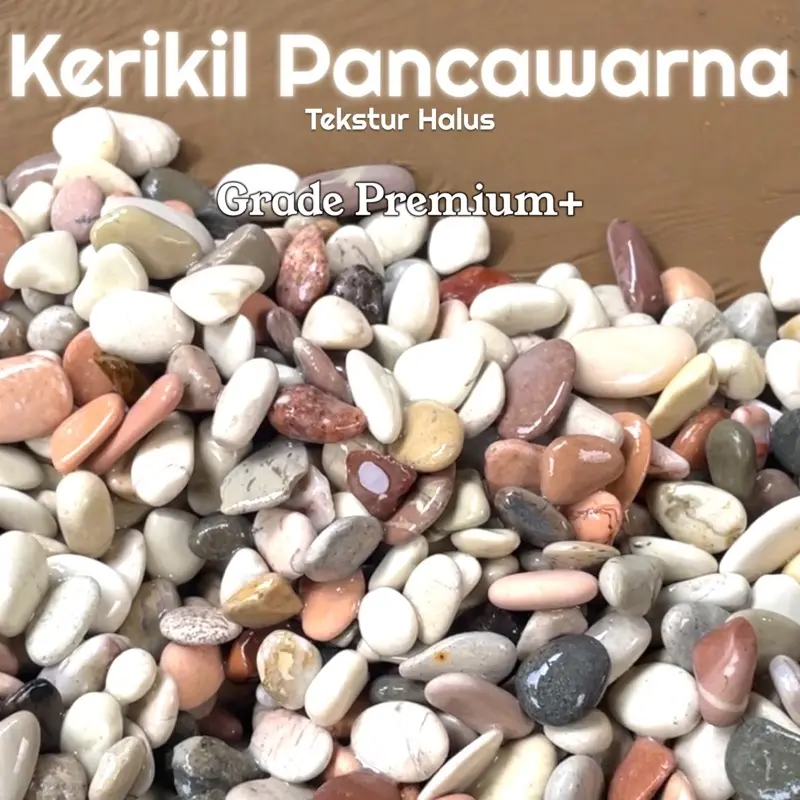 Batu Coral Halus Premium (1Kg) Hiasan Taman / Aquarium. Bersih Siap Pakai Kualitas Terbaik 4