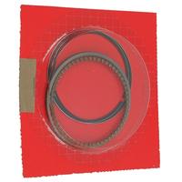 Gambar Ring Set Piston 1.00 Honda BeAT Karburator KVY 13051KVY900 - Merah, Silver, Ring Piston dari Honda Cengkareng Kota Tangerang 3 Tokopedia