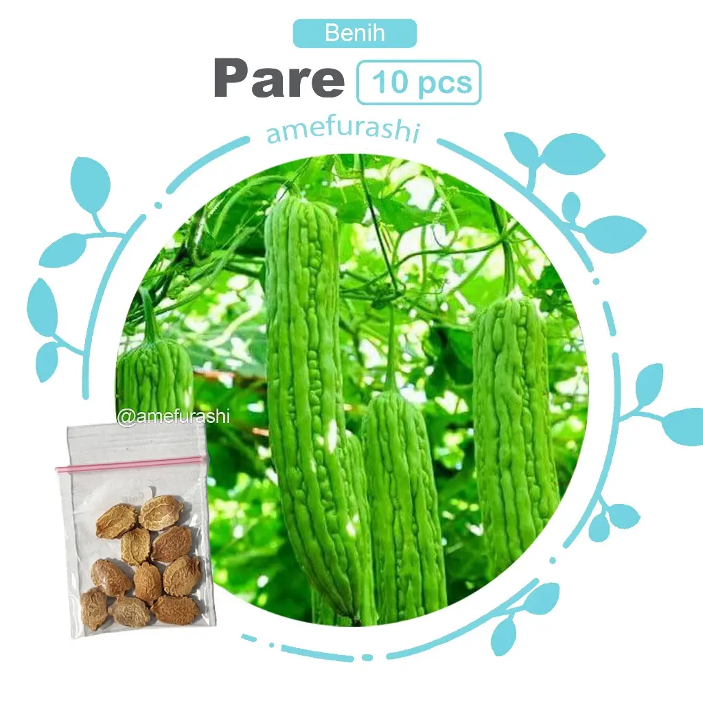 Pare 10 Biji