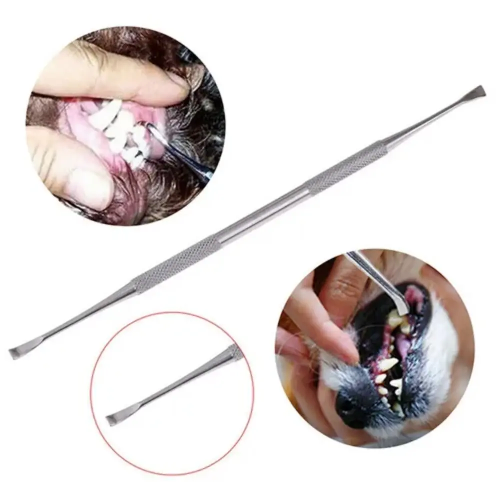 Dụng Cụ Làm Sạch Răng Cho Chó, Chất Liệu Thép Không Gỉ Bền, Hai Đầu, Chống Gỉ, Loại Bỏ Sâu Răng, Tay Cầm Chống Trượt, Thích Hợp Cho Thú Cưng, Bàn Chải Đánh Răng Cho Mèo Và Chó