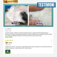 Gambar Obat Kutu Cair Alami Ampuh dan Terbukti Hewan - Kutu Cair 50ml dari Caesar JacO Kota Administrasi Jakarta Barat 5 Tokopedia