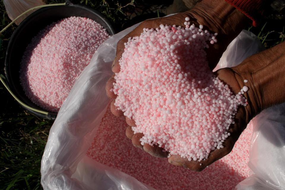 Pupuk Organik Urea 1-2kg untuk Tanaman