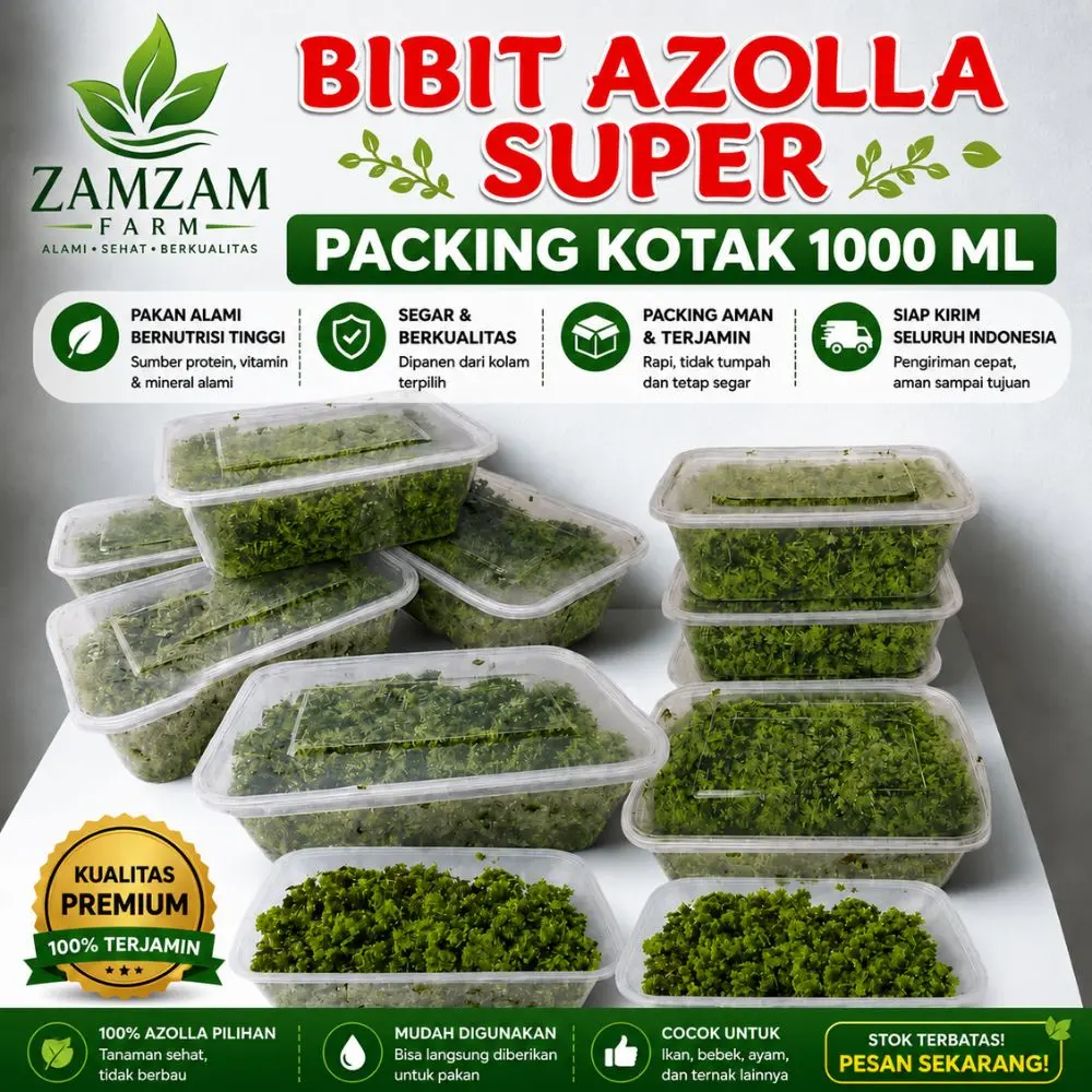 Bibit Azolla Super Premium Indukan Budidaya Kemasan Cup 1000ml Segar Tahan Kirim 8 Hari Kualitas Tinggi untuk Kolam & Ternak