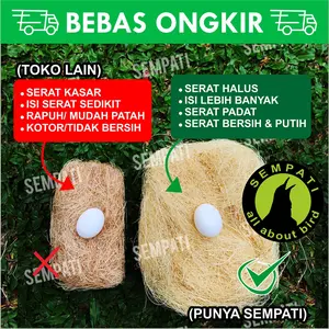 SEMPATI SERAT NANAS SARANG TEMPAT BERTELUR BURUNG AURORA WIJAYA