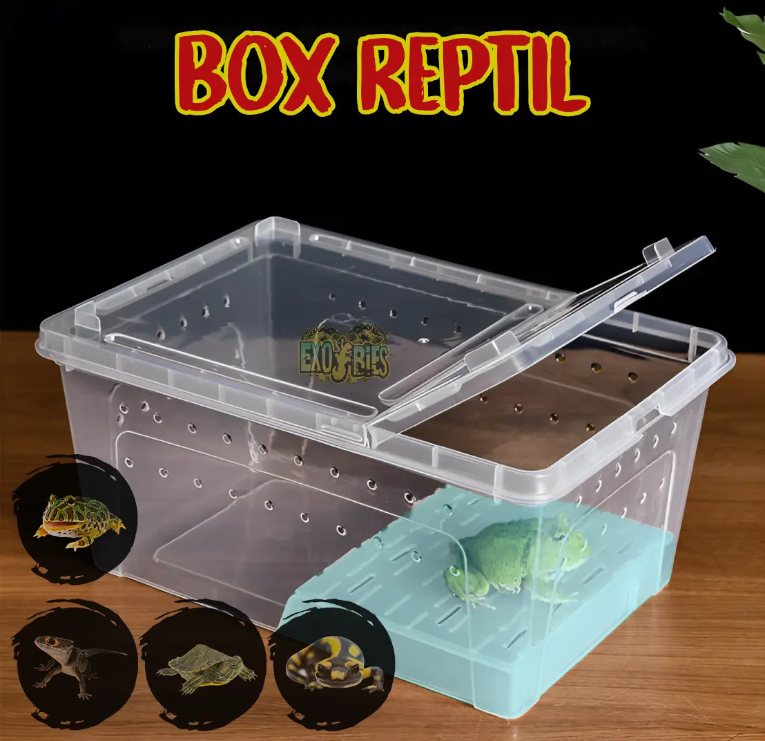 Box Reptil Enclosure Reptile Kandang Reptil Box Pacman Frog Kandang Kura Kura Box Salamander